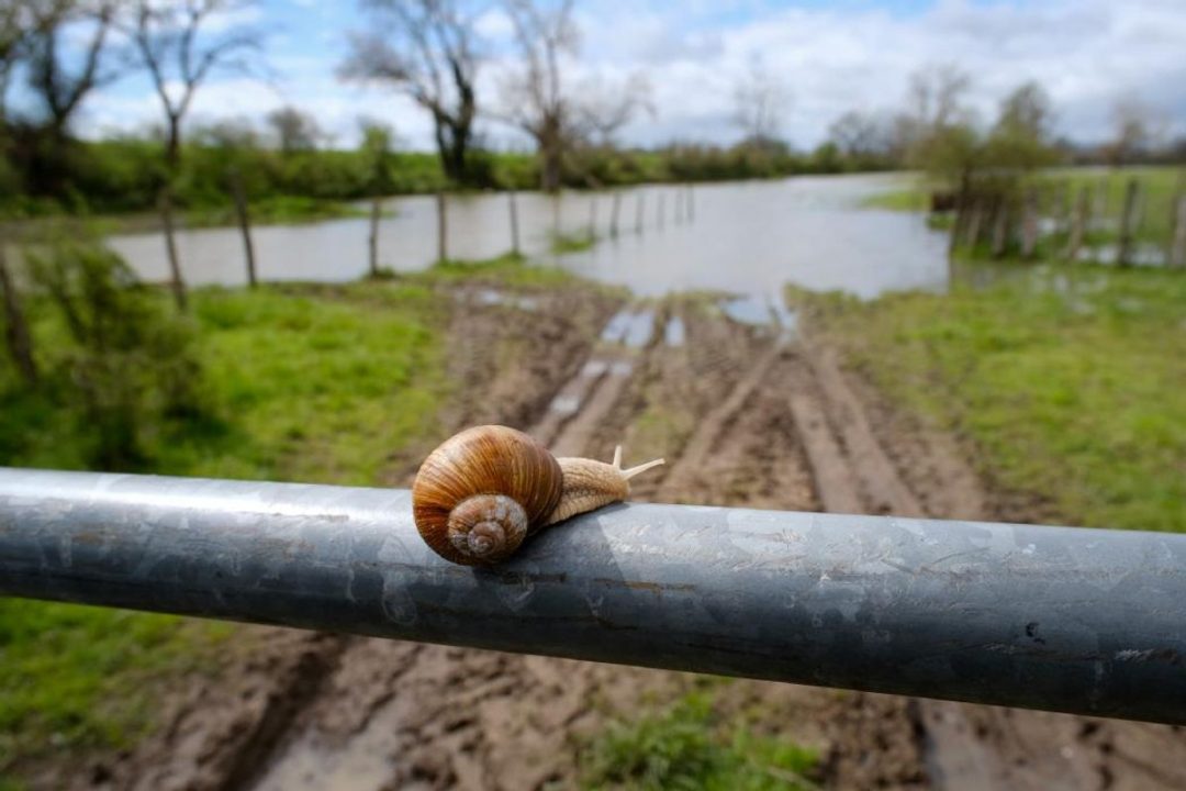 découvrez les détails et les impacts des catastrophes naturelles en loire-atlantique, ainsi que les mesures de prévention et d'intervention dans la région.