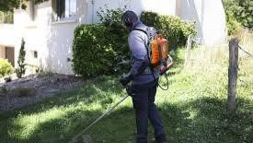 découvrez l'importance du débroussaillage pour prévenir les incendies et protéger vos terrains. nos conseils et méthodes efficaces pour un environnement sûr et bien entretenu.