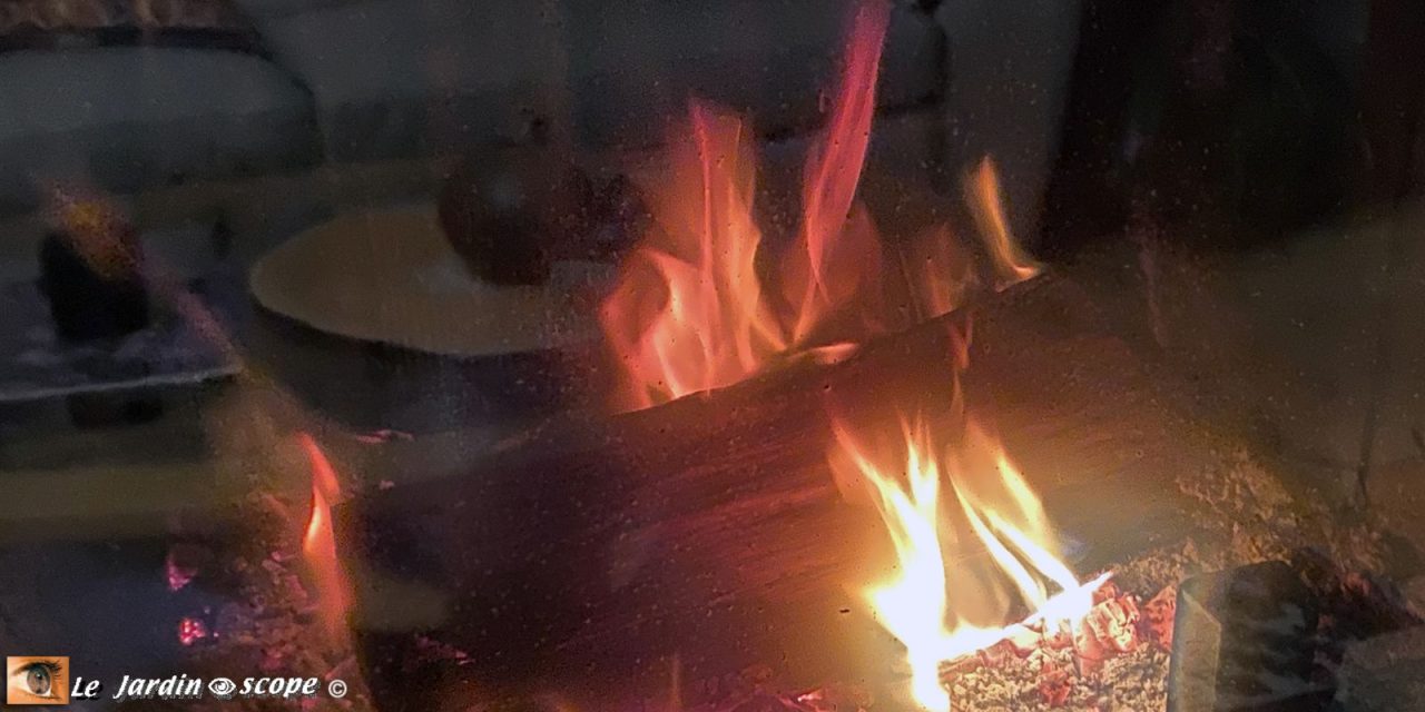 découvrez comment aménager un jardin en lisière en respectant la réglementation légale pour protéger votre maison et assumer vos responsabilités en toute sérénité.