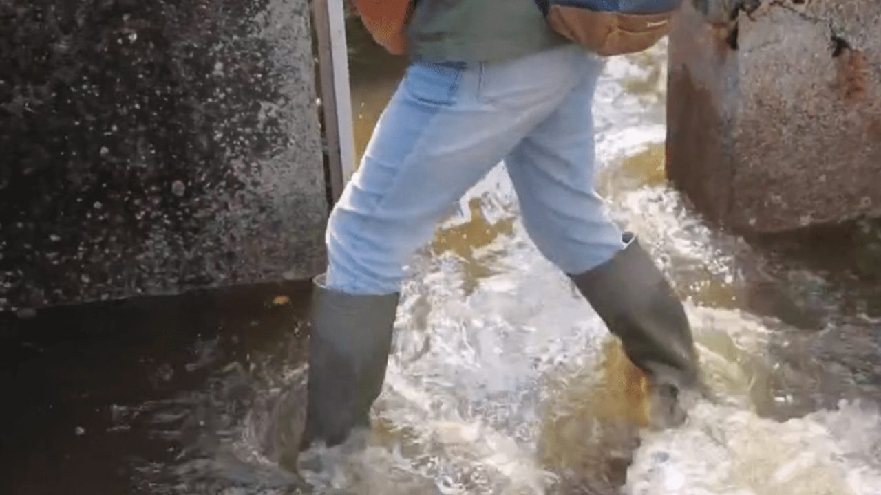 loire-atlantique : la décrue est en cours, avec des traces de crue encore visibles, surveillez l'évolution de la situation.