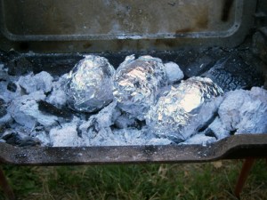 découvrez nos astuces pour un barbecue réussi ce weekend : conseils de préparation, choix des ingrédients et idées recettes pour régaler vos invités.